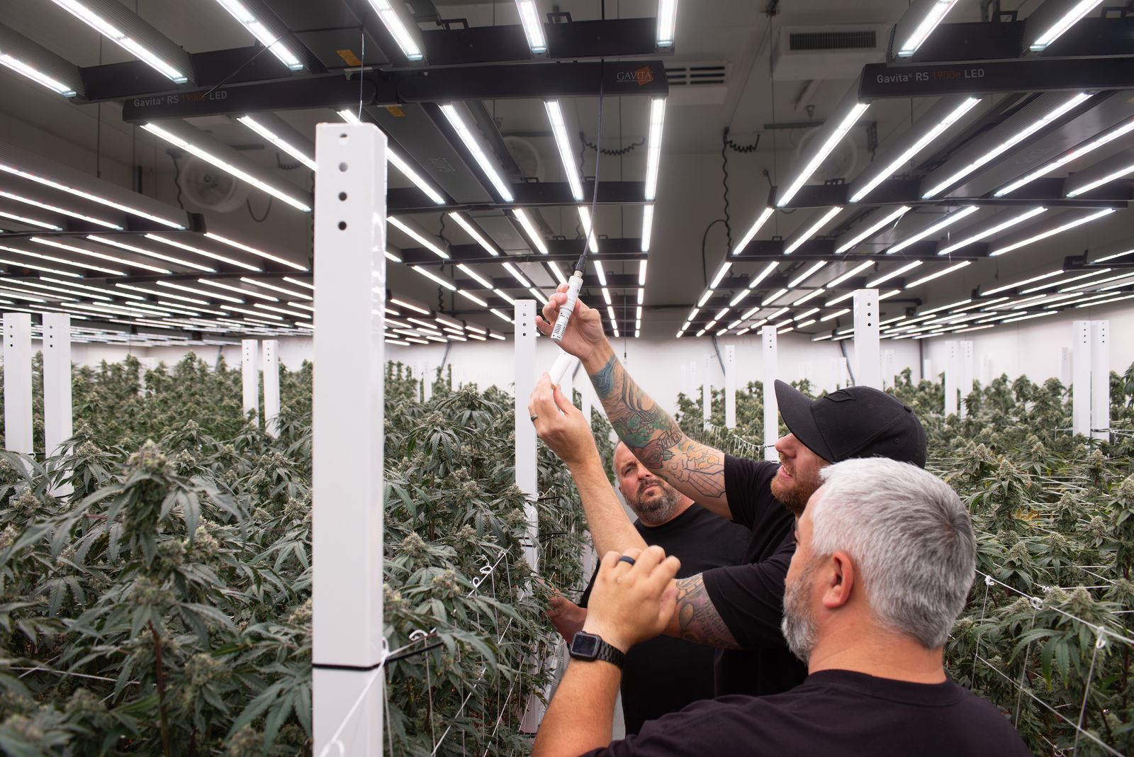 Growlink system installation